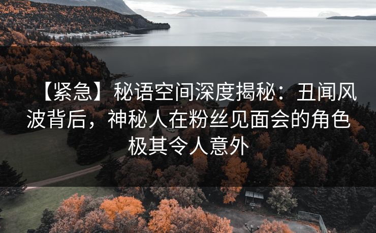 【紧急】秘语空间深度揭秘：丑闻风波背后，神秘人在粉丝见面会的角色极其令人意外