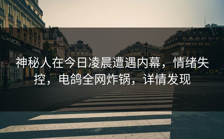 神秘人在今日凌晨遭遇内幕，情绪失控，电鸽全网炸锅，详情发现