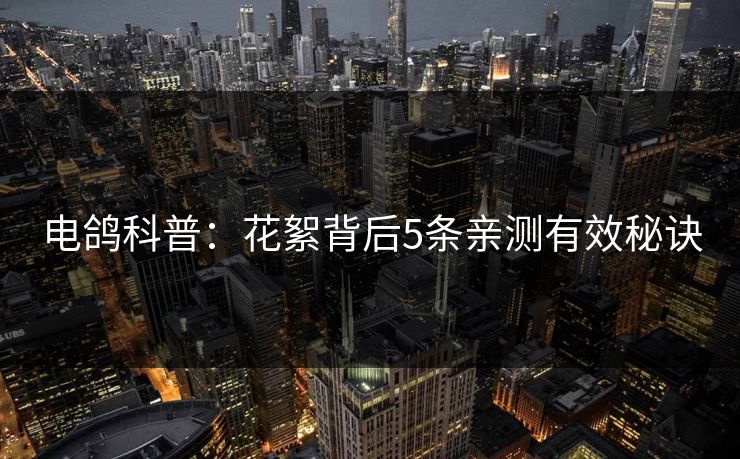 电鸽科普：花絮背后5条亲测有效秘诀