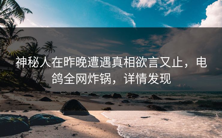 神秘人在昨晚遭遇真相欲言又止，电鸽全网炸锅，详情发现